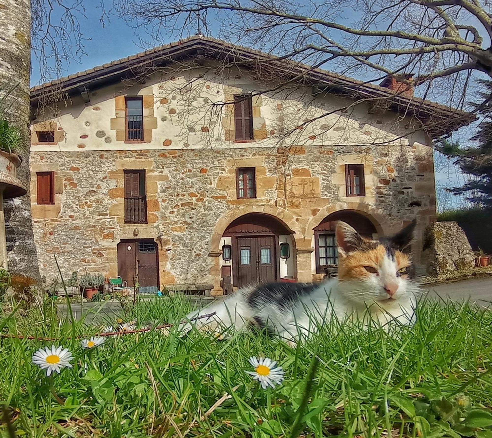 Pensjonat Casa Rural Areano Escoriaza Zewnętrze zdjęcie