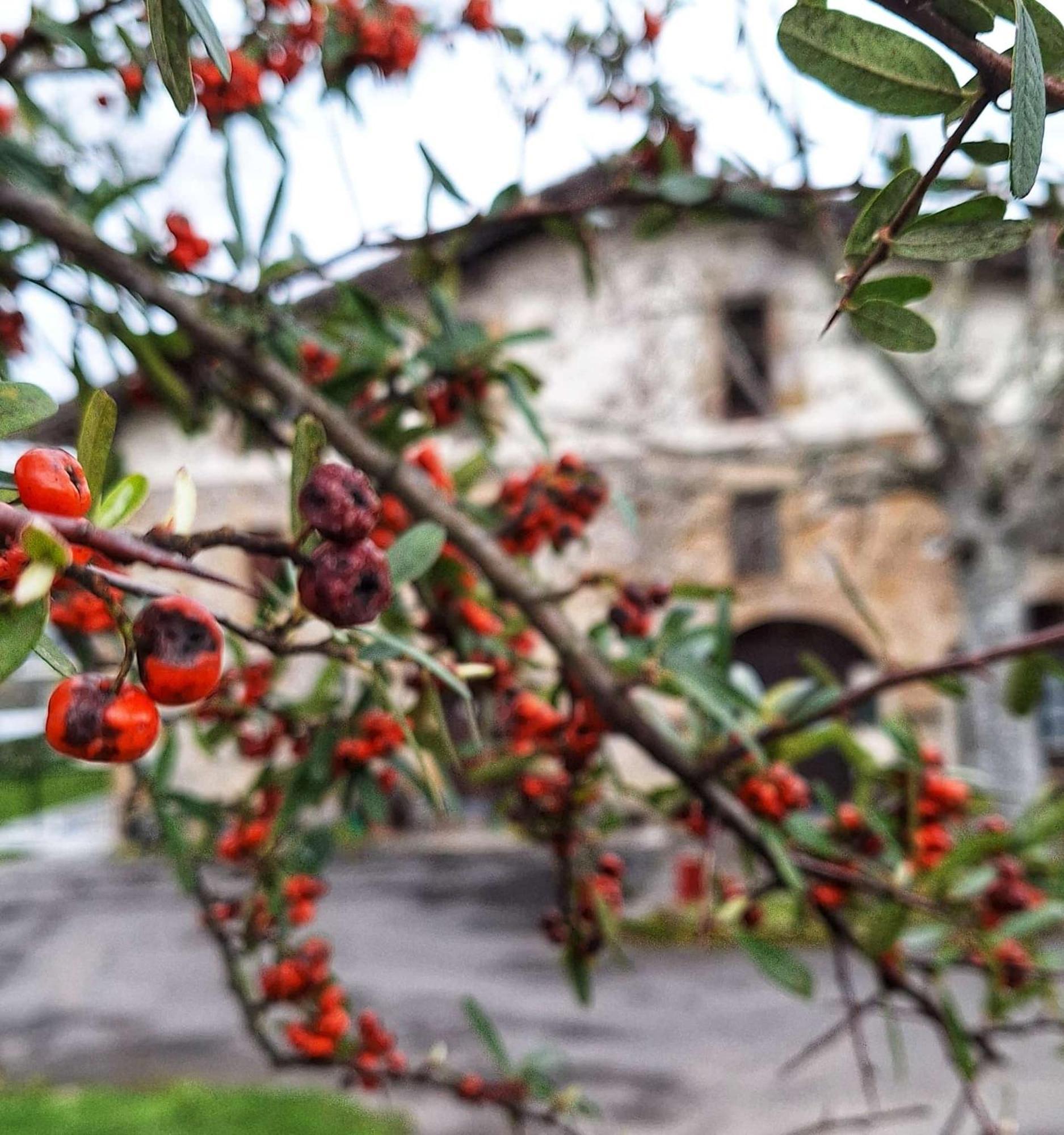 Casa Rural Areano Escoriaza Zewnętrze zdjęcie