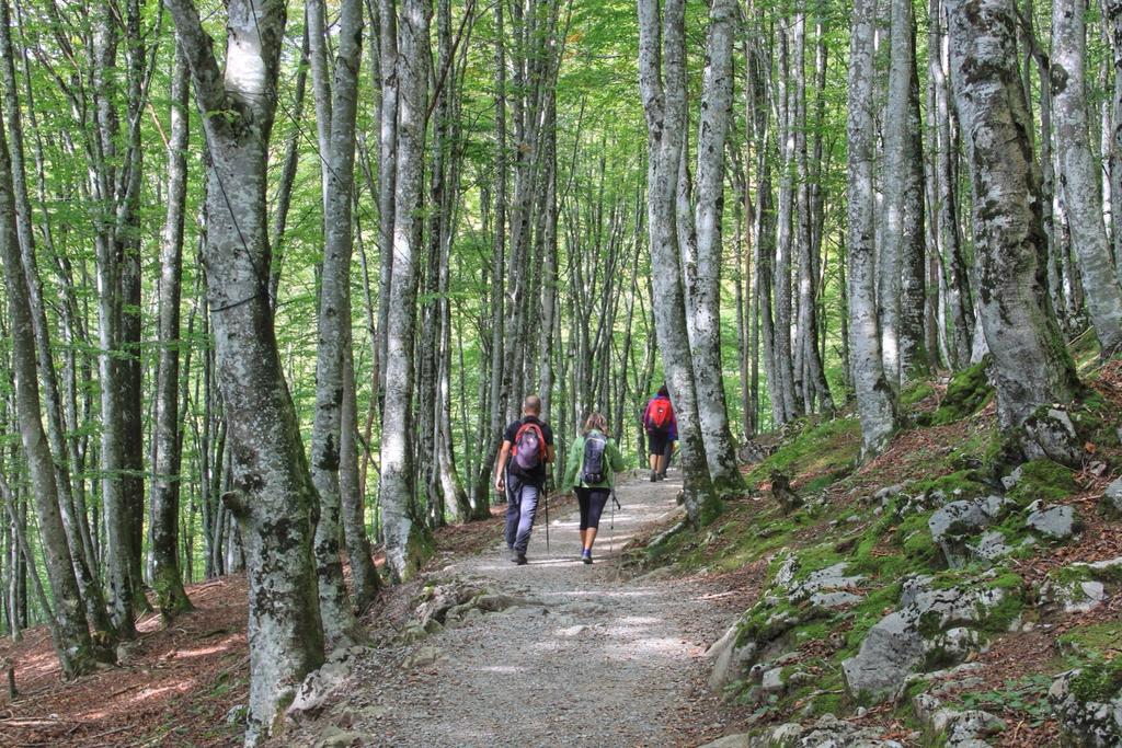 Pensjonat Casa Rural Areano Escoriaza Zewnętrze zdjęcie