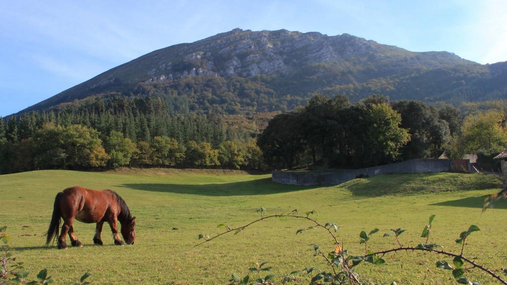 Pensjonat Casa Rural Areano Escoriaza Zewnętrze zdjęcie